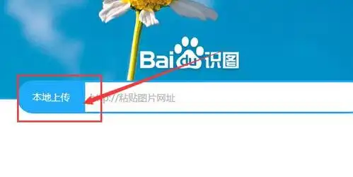 怎样上传图片搜索类似的图片.