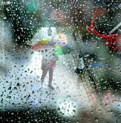 窗外雨景