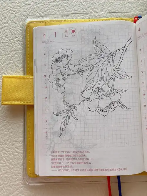2022年hobonichi每日一画樱花