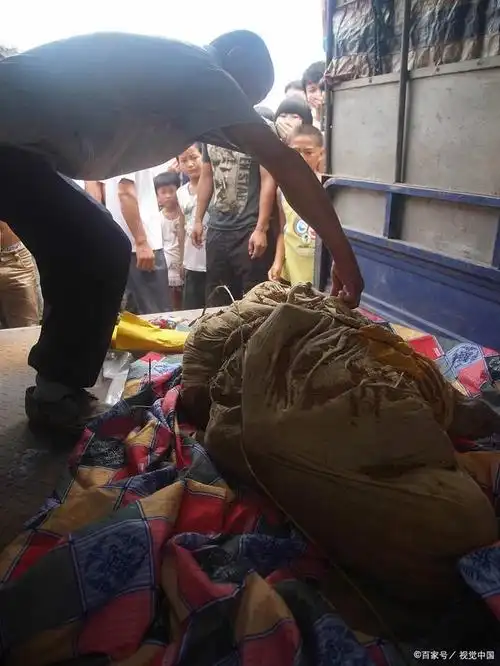 惨死的景象,他们在这场冲突中无辜地失去了生命,使他们的家庭和亲人