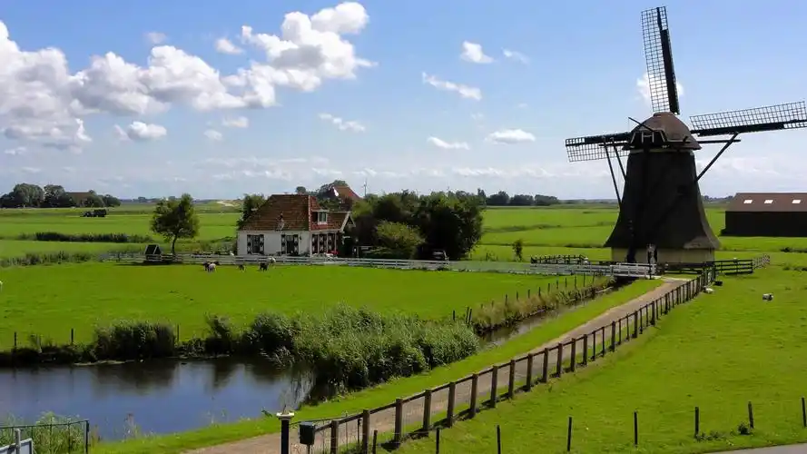 自然壁纸,风景,植物图片,自然,风景,植物,电脑壁纸,壁纸乡村田园的