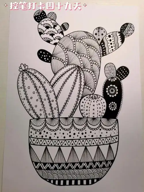 画画打卡49天植物线描黑白装饰画