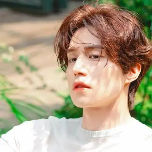 微信头像李栋旭