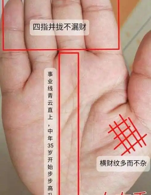 女人财运好的手相 女人什么手纹最好?-图片大观-奇异网