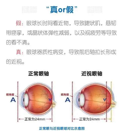 视力归元加盟项目介绍详情