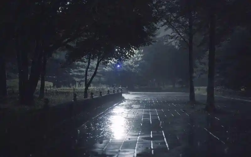 【超长实景雨声】asmr _轻松入睡_大雨雷霆_雨声入眠