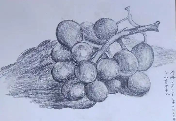枣庄少儿美术教育高级班素描练习-葡萄