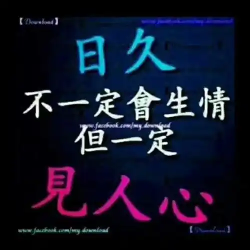 人,付出真心,换来伤心,剩下寒心