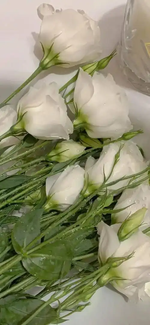 "2022壁纸:好运加满全面屏手机壁纸手机壁纸|ins风简单温暖耐看冬日