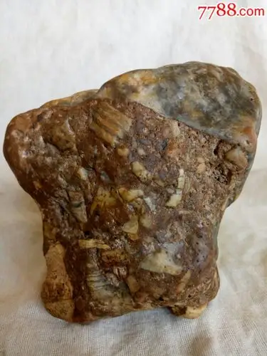 月亮角砾陨石(无磁)-陨石-7788收藏