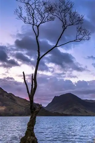 首页 自然与风景 湖iphone 壁纸:640x1136 (iphone 5/5s/5c/se)