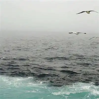 唯美治愈高级大自然风景头像图片 治愈系很有意境的图片头像2022_风景