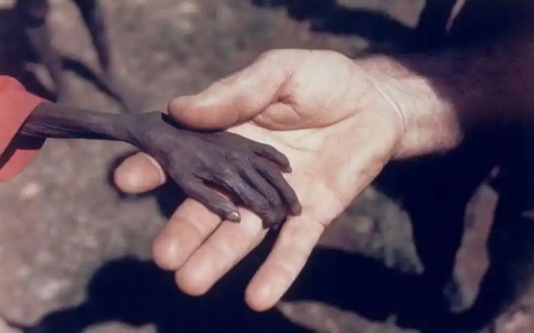 世上最撼动人心的30张照片