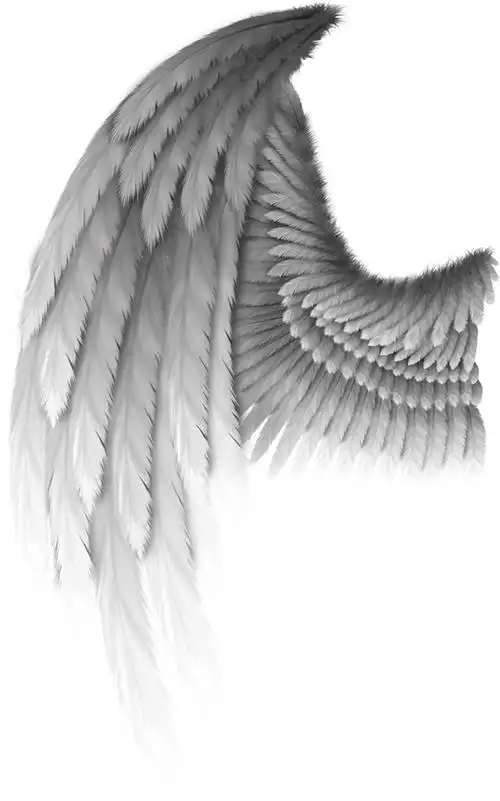 折翼的天使——合成