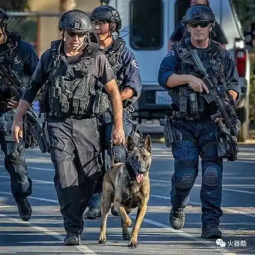 【强硬的黑衣人】洛杉矶警局swat图集
