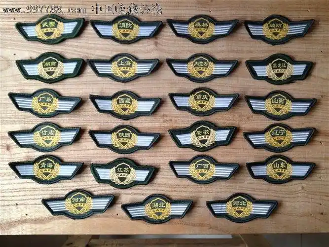 武*软胸标一大套