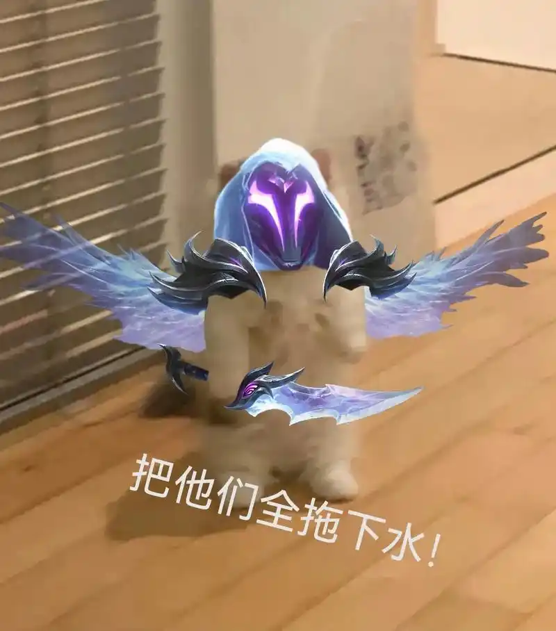 猫猫联盟 #英雄联盟 #lol #英雄联盟表情图 #英雄联 - 抖音