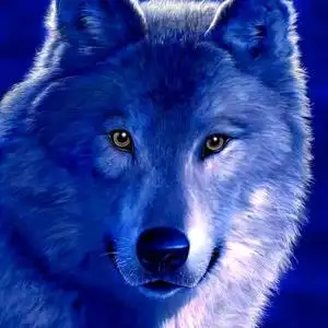 沙漠独行狼头像