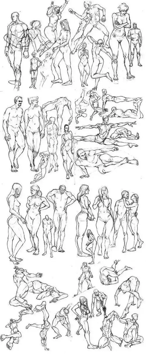 干货速写人体结构参考收藏