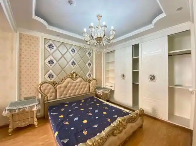 海伦国际海伦区5号地块三室两厅两卫带家电家具