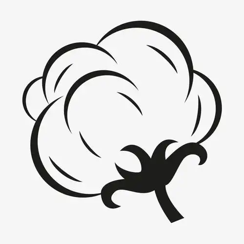 棉花花朵简笔画