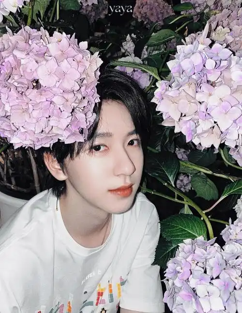 修图贺峻霖少年与花