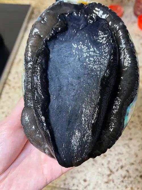 第一次吃黑金鲍