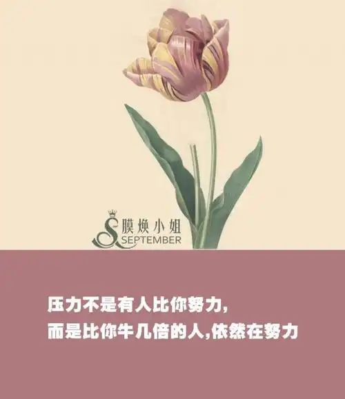 微商正能量晚安配图