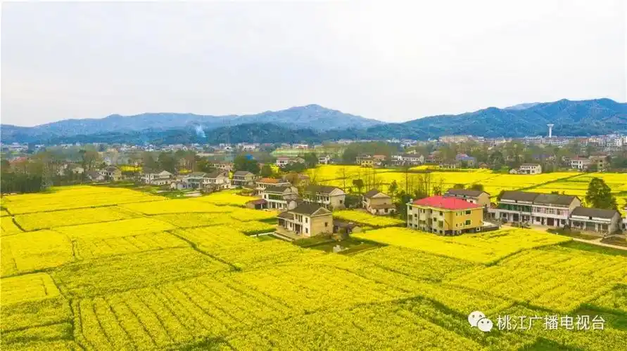 美图大赏——三堂街线上踏青(三)_桃江县