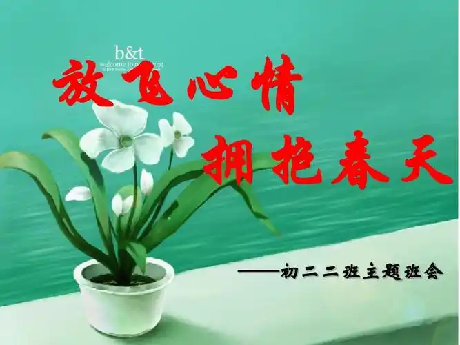 放飞心情,拥抱春天