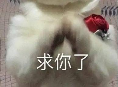 萌宠猫星人求你了拜托搞怪逗gif动图_动态图_表情包下载_soogif