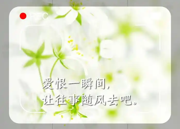 来不及说再见的句子(正式告别一段感情的话)-懂事知识