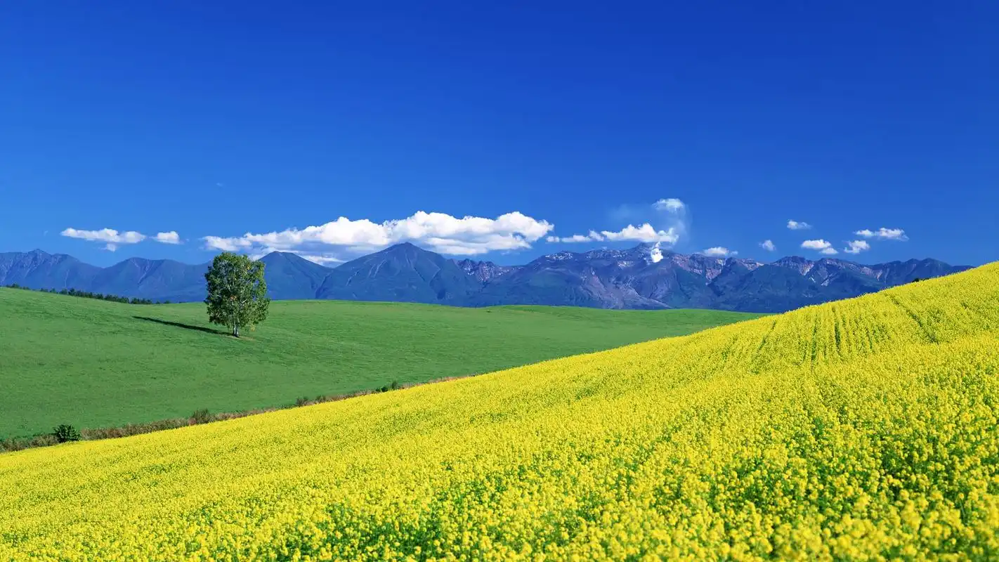 北海道自然风景高清桌面壁纸下载 第一辑