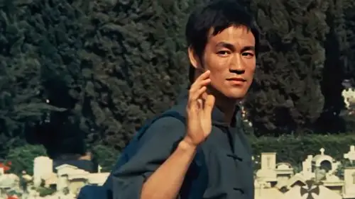 李小龙的又一力作电影猛龙过江简介