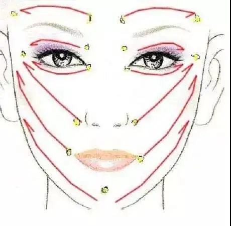 因为在人体的面部巡行的经络多达 9条.