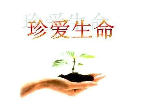 热爱生活,珍爱生命