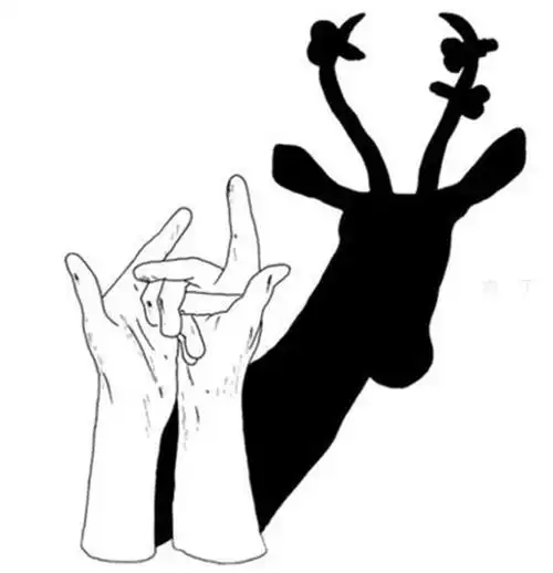 动物手影艺术教程 逼真的梅花鹿做法图解 早教游戏,家庭亲子游戏,手影