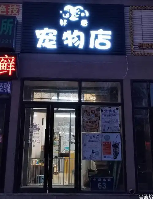 桥洞子营业中宠物店转让