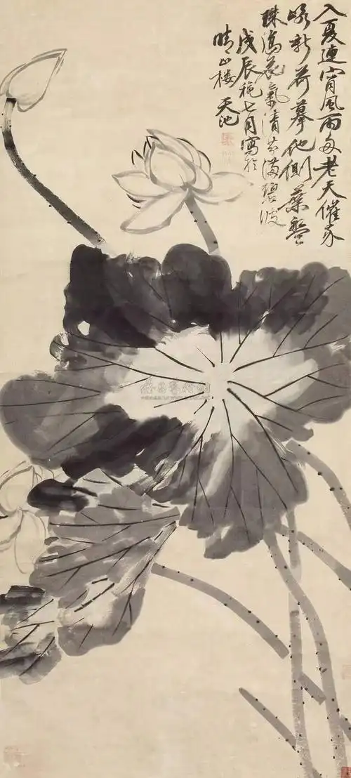 明 徐渭 墨荷图