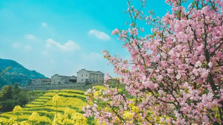没有一个季节的风比春天更让我觉得人间温柔且值得.