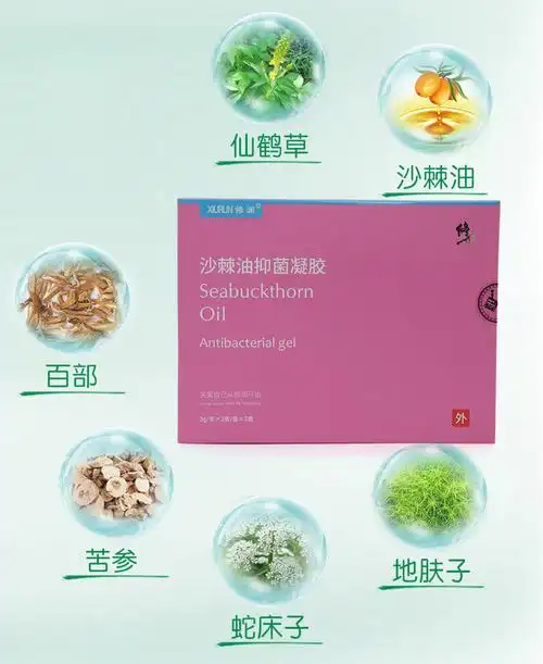 修正沙棘油抑菌凝胶3g/支*6支/盒女性白带私处抑菌痒清洁0013