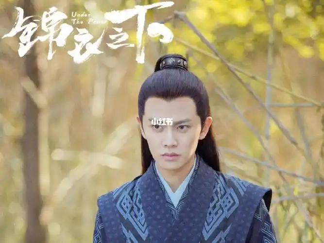 锦衣之下中职场智慧最服是陆绎