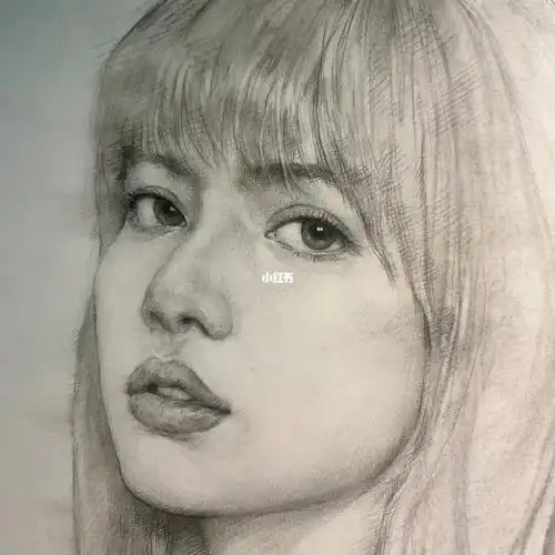 lisa  #blackpink  #素描  #lisa头像  #寻找小红书绘画大神  #私人