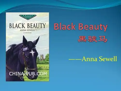 blackbeauty黑骏马简介ppt