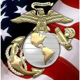 美国海军陆战队徽章国旗老鹰标识风景钻石画