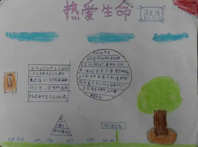 四(2)班《热爱生命》手抄报