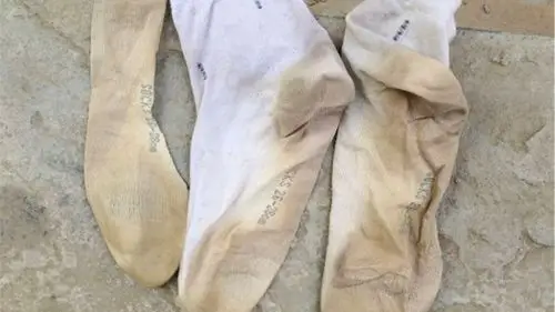 白袜子脏了很难洗只用厨房调味料旧袜立马变新袜没骗你