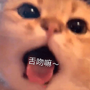 表情丨建议你去看一下脑子