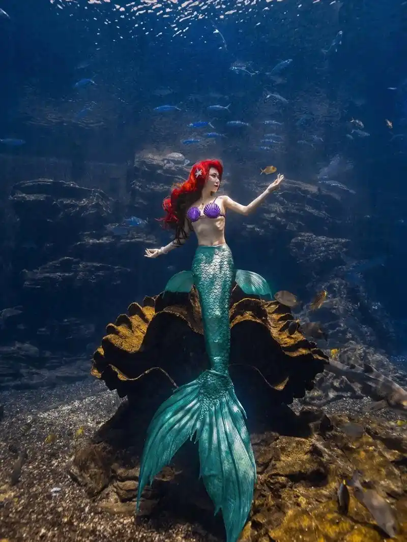 真人版爱丽儿 美人鱼水下拍摄 只做模特真开心呀真开心 photo of mew