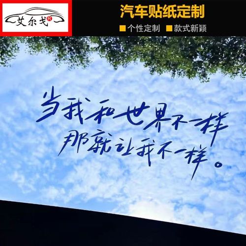 当我和世界不一样那就让我不一样车贴个性抖音天窗语录励志创意贴